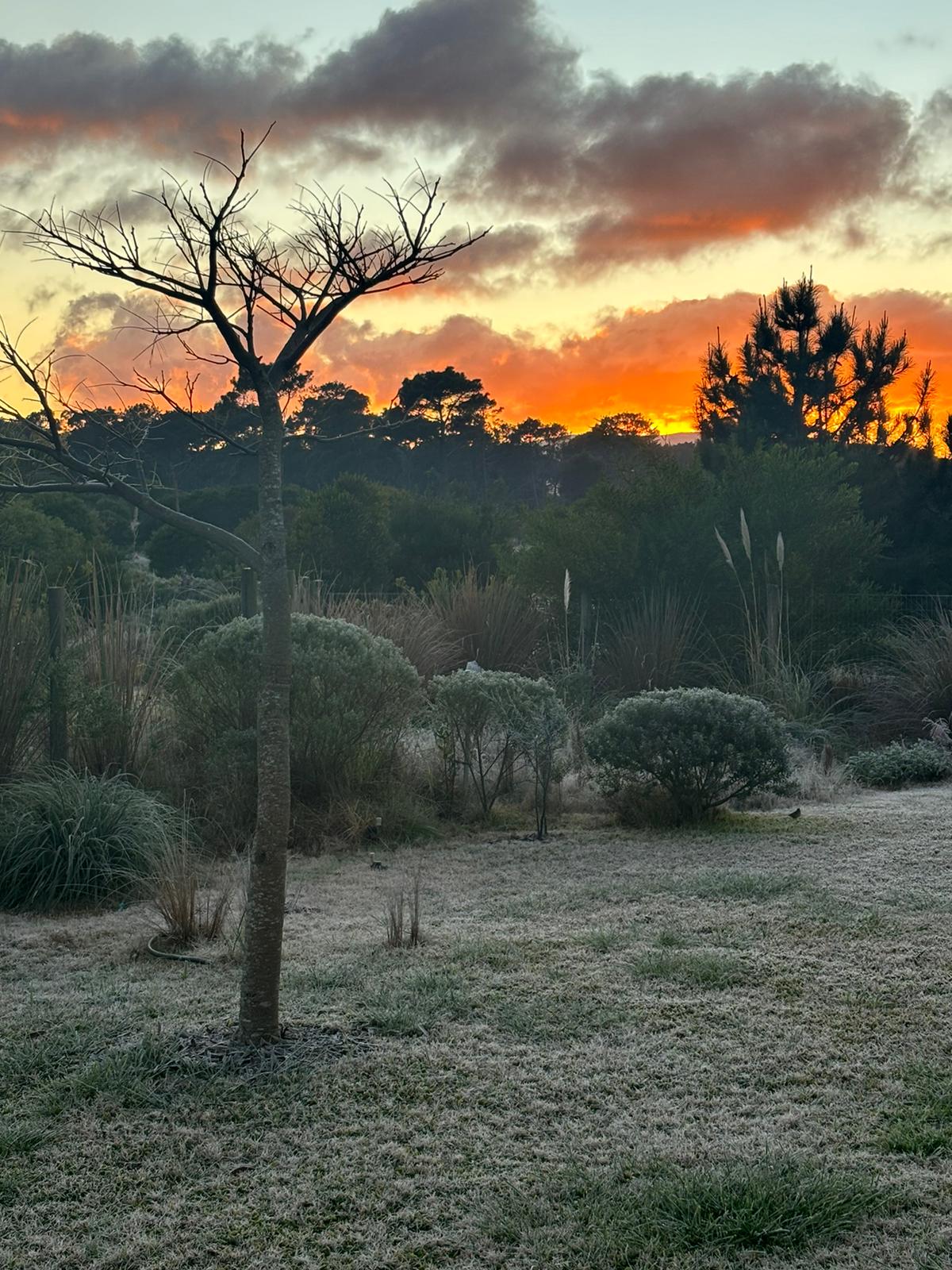 Tercer premio. Amanecer invernal de Gonzalo Amejeiras Vignoli La foto se ubica en un paisaje típico, que le otorga identidad a la zona del entorno de la cuenca media del arroyo Solís Grande, con el fondo de las Sierras de las Ánimas. Describe la interacción ambiental entre el frío, el calor, sus colores, la estación y la belleza de la naturaleza.